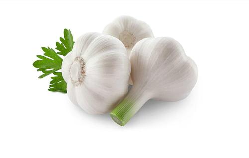 生活中註意4個�養生細節�健康不請自來！ 尤其是老年人