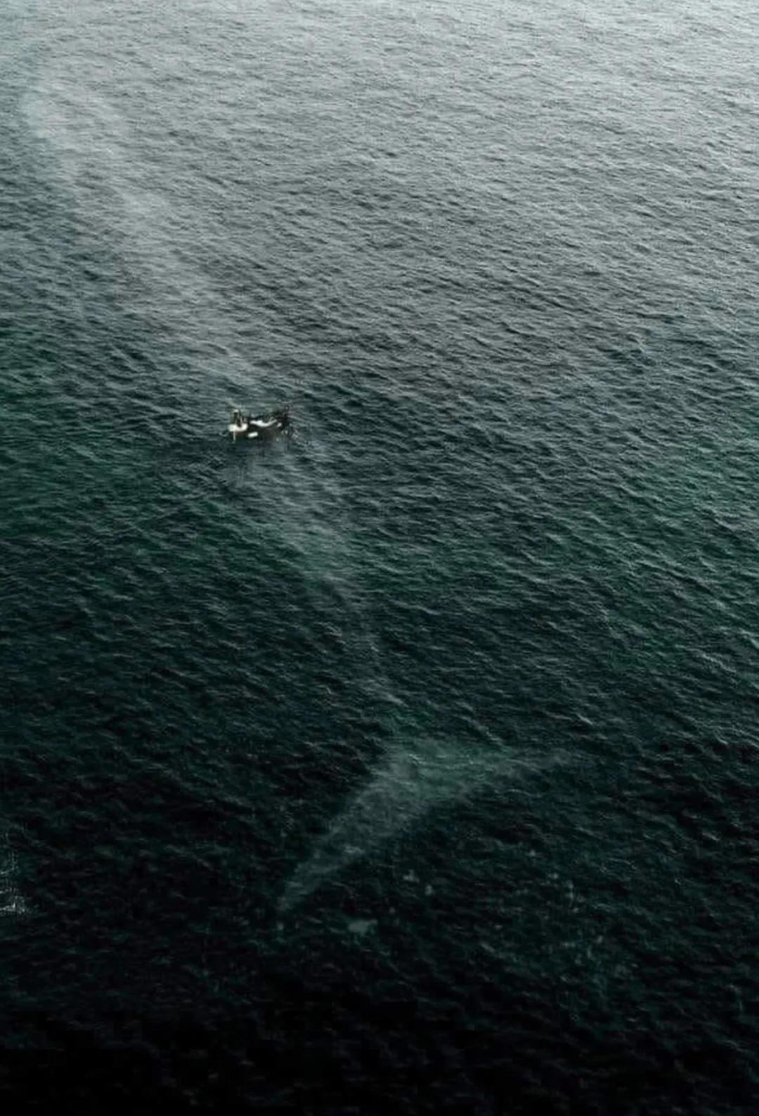 After reading this group of photos that I have seen for a long time the phobia of giants has