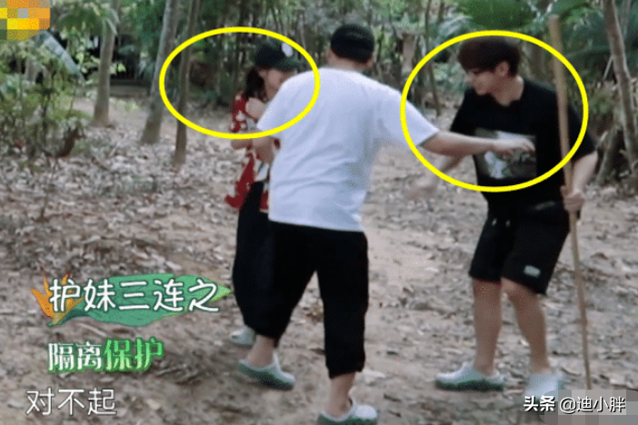 汪苏泷用棍打到张子枫 彭昱畅用手保护 何炅语言