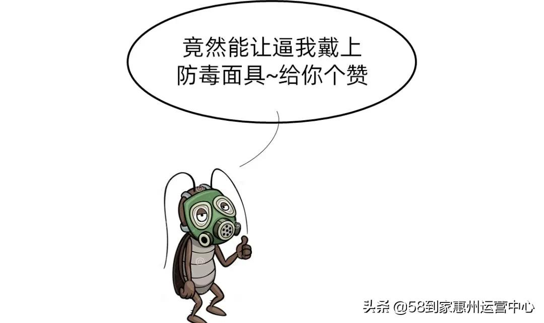 灭蟑螂靠谱的两招,一般人我不告诉他