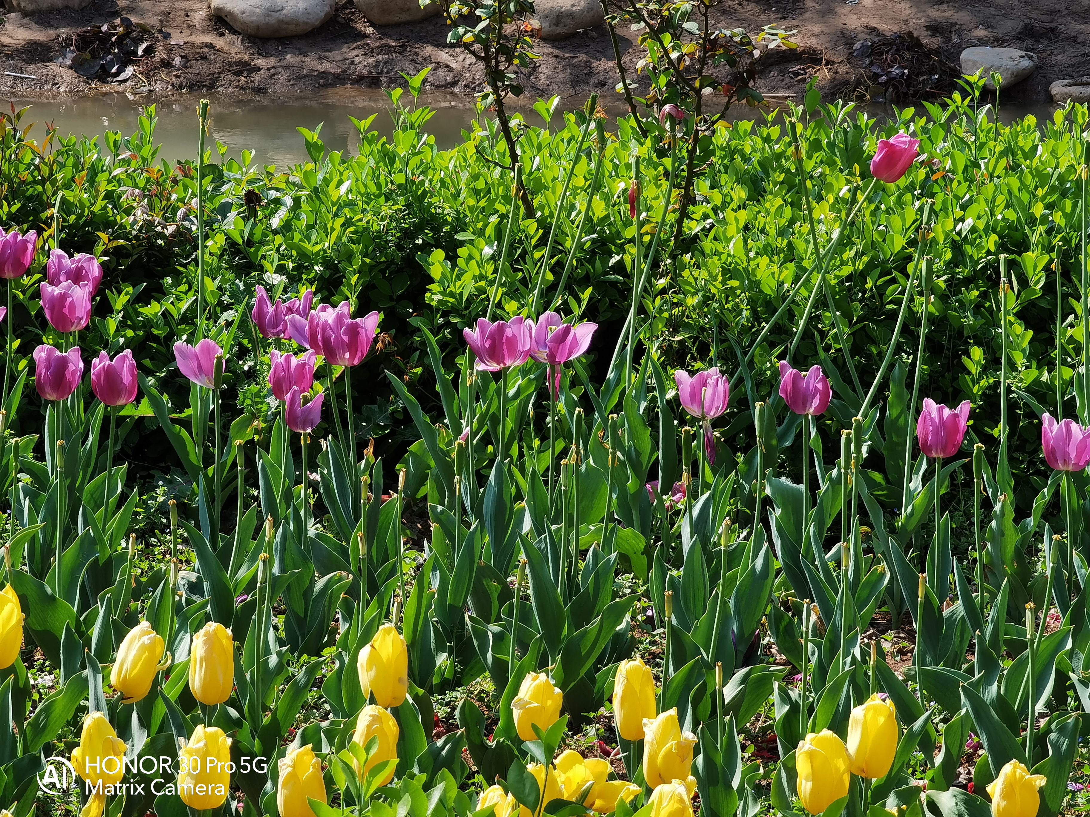 当完全不会拍照的媳妇儿上手测试荣耀30 Pro，你