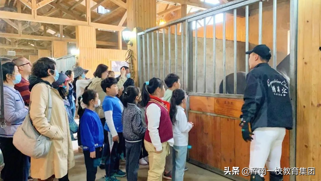 渾南區(qū)第一小學(xué)怎么樣?‘‘智慧+’’開(kāi)課啦！(圖10)