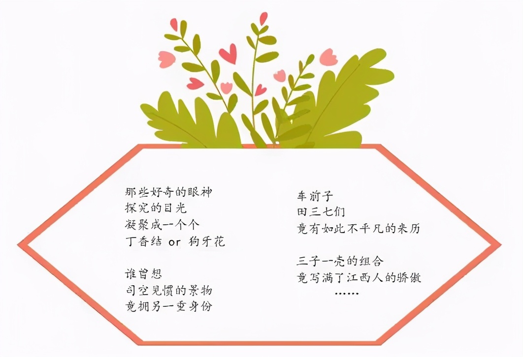 南昌市洪都中医院中草药专家走进百花洲小学传播中医药文化