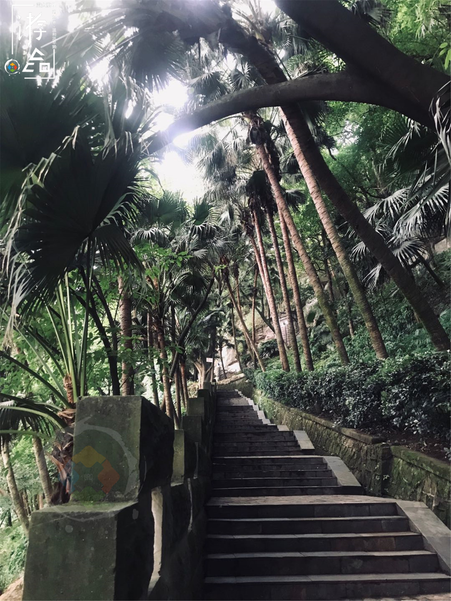 日本人评价重庆肖家湾，通往电视塔的坡道，被称神似宫崎骏的电影