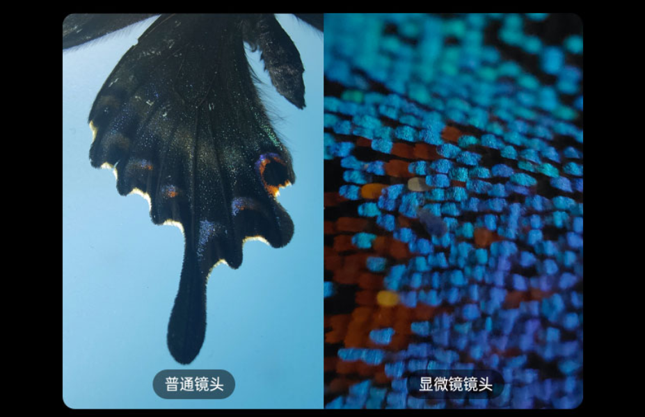同样骁龙870，Find X3为何就卖4499，网友：就这？