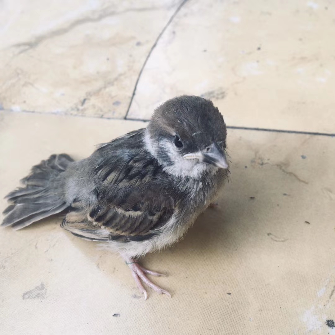 你因为什么而写作？