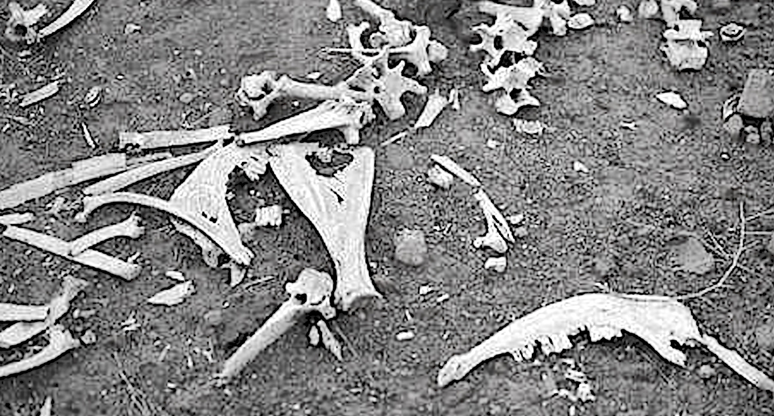 現實中的九層妖塔，血渭一號大墓