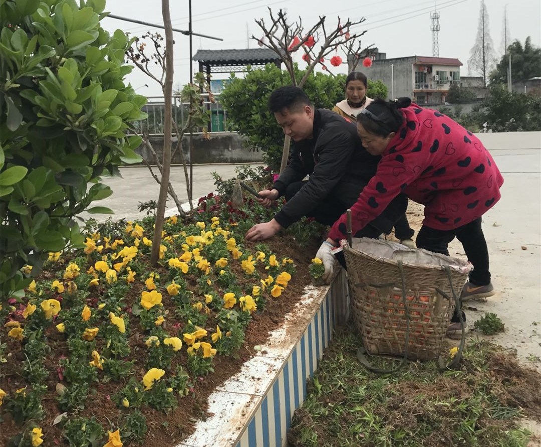 东坡区望苏村：提升人居环境 再添美丽秀色