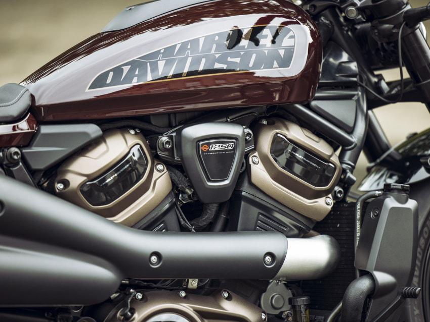 ��һ������SPORTSTER S�ձ�����