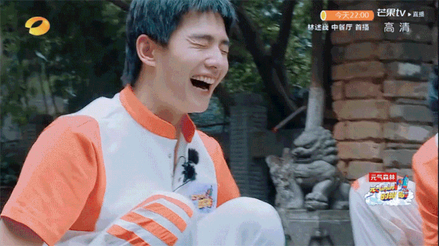 这个8月，哪档综艺最入你的眼？