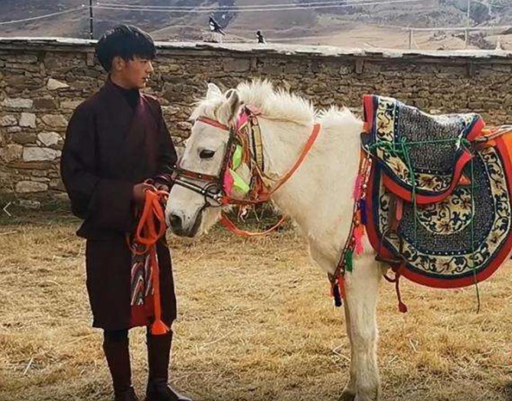 丁真商标尘埃落定！理塘官方：商标全部无偿转让给丁真工作室