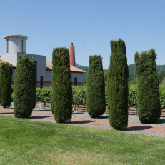 飞马酒庄：最酷的后现代酒庄