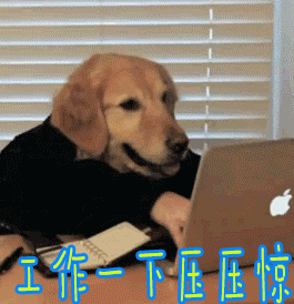 Is section hind asked for integratedly how to do? Tell you a good news, finishing 18 days of classes is small long holiday! 