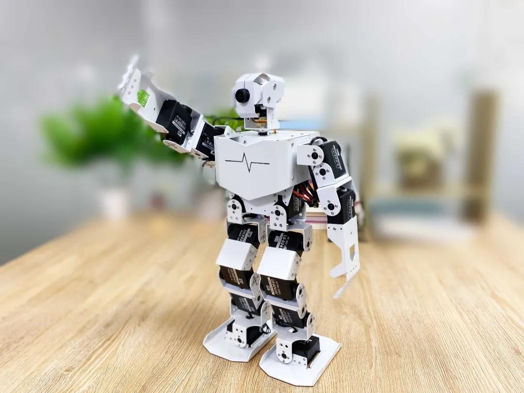Visual Humanoid