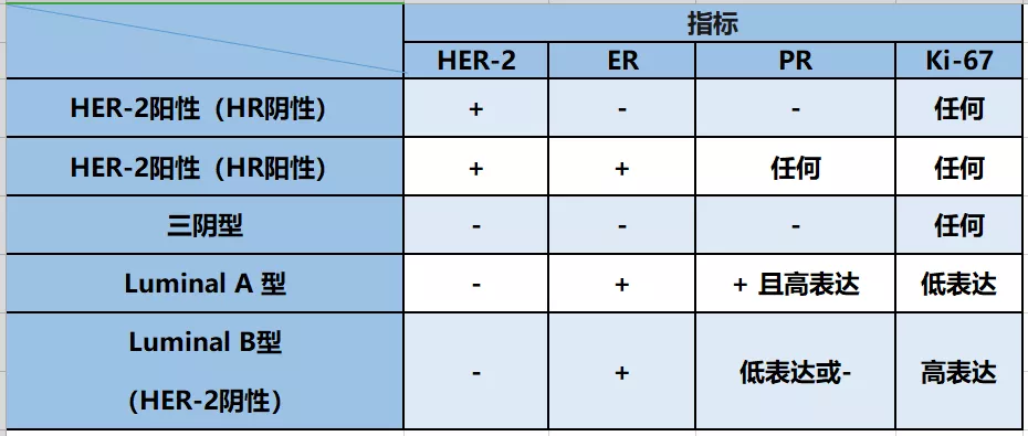 一文读懂全球第一癌种——乳腺癌的分子分型及治疗方向