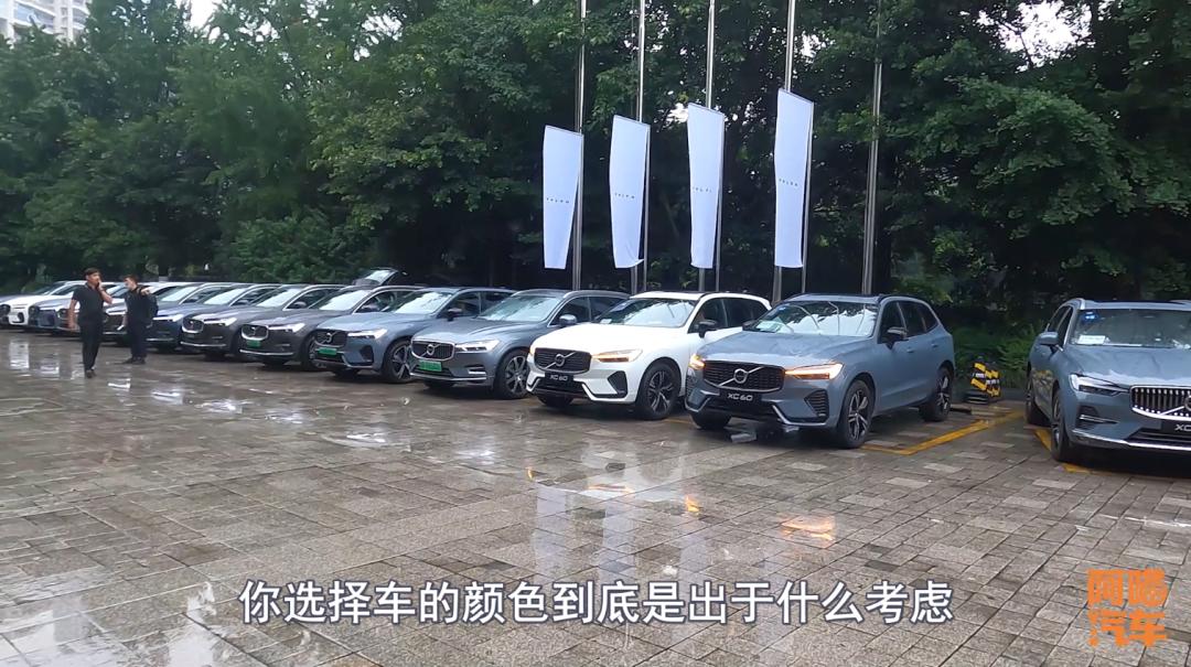 The white car is so popular, why the pearl white car paint is more