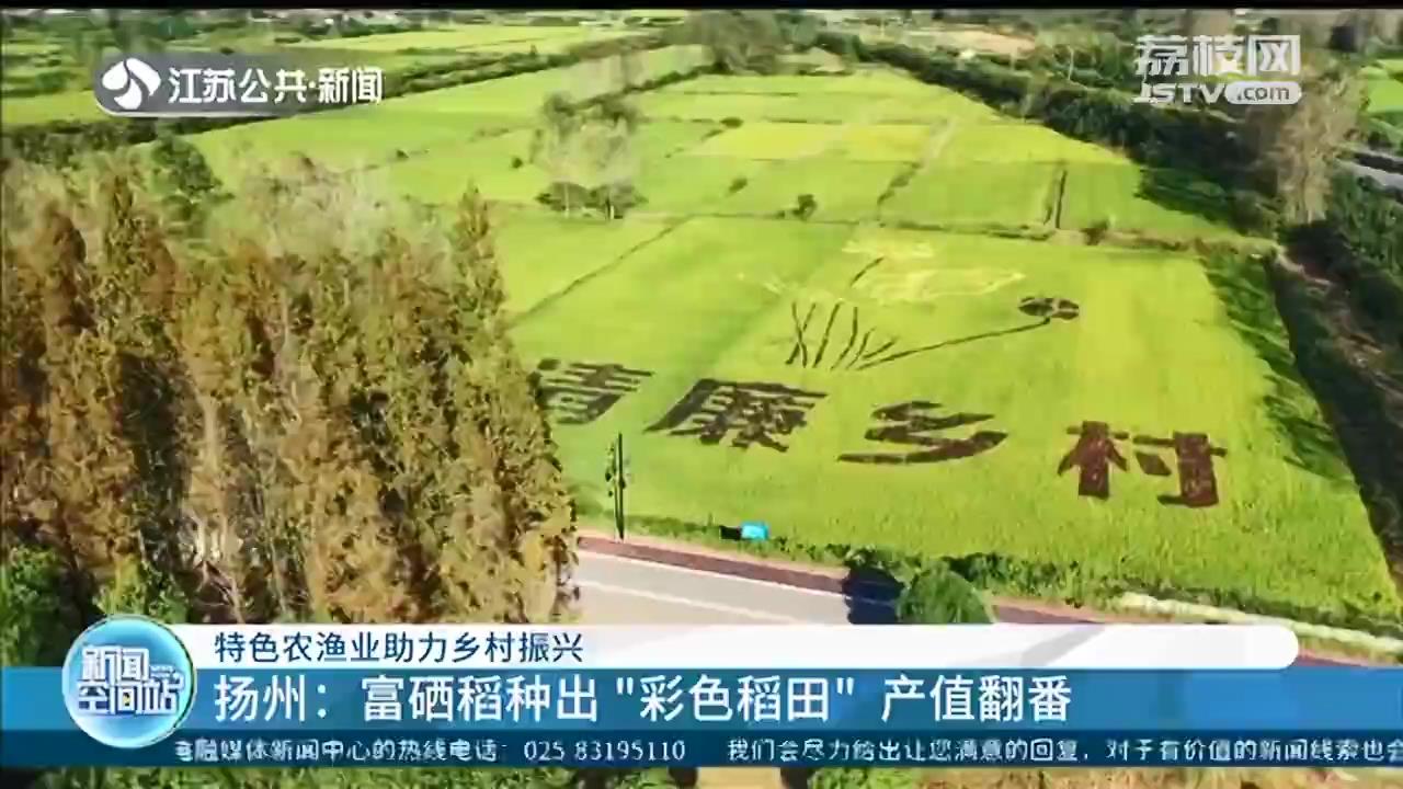 富硒稻种出“彩色稻田”，特色农业助力乡村振兴