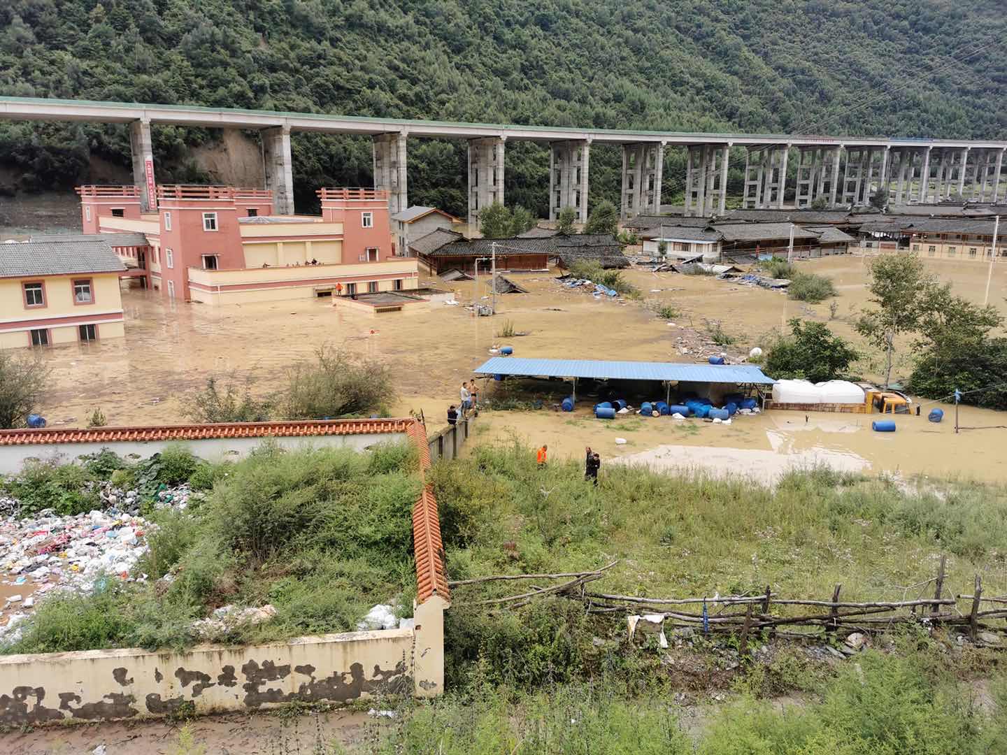 灾难面前党员显担当