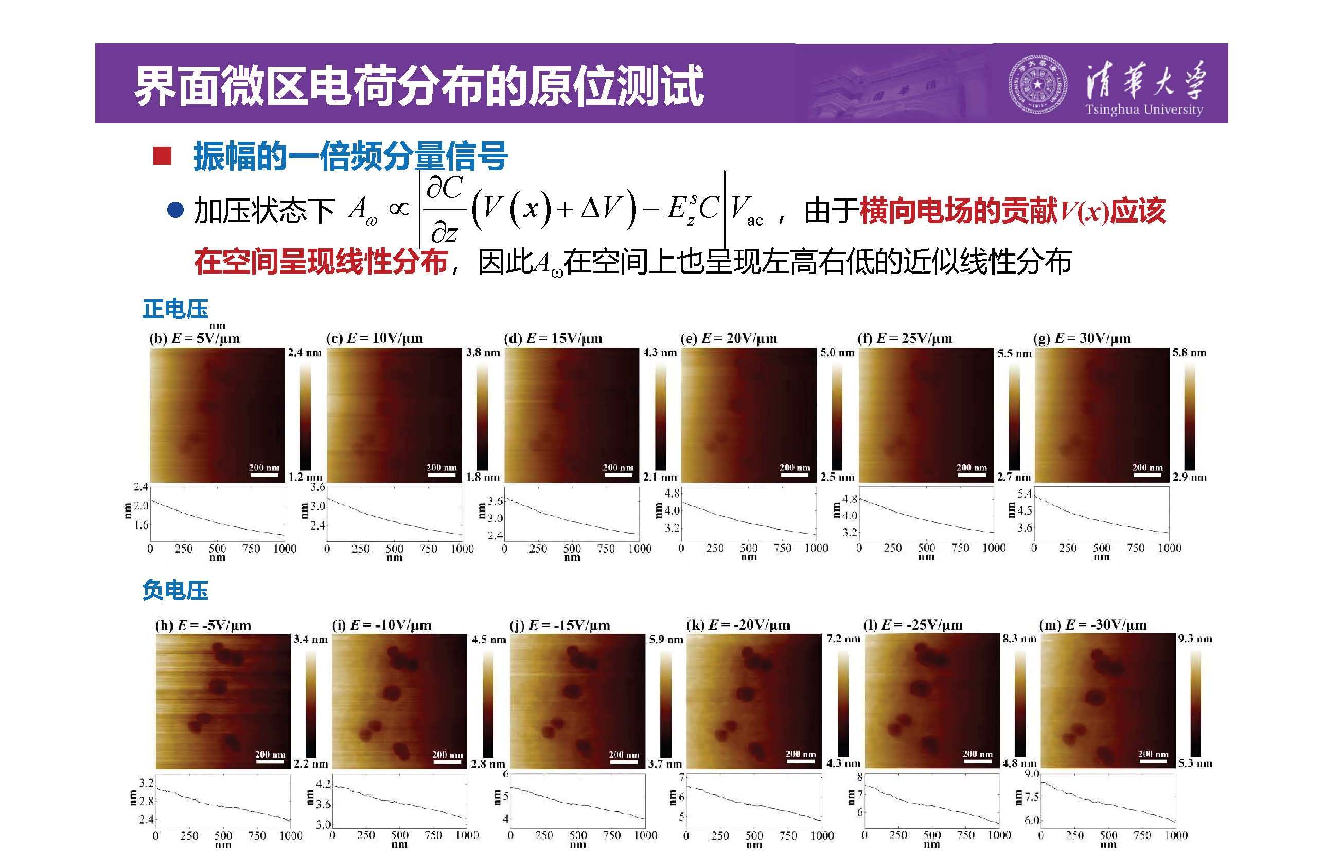 清华大学李琦副教授：介电纳米复合材料界面微区的原位测试技术