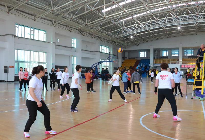 镇赉法院：丰富干警业余文化生活，举办排球联赛展风采