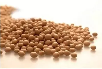 腎病不能吃豆類？ 正確答案是能吃！ 本文告訴你如何吃