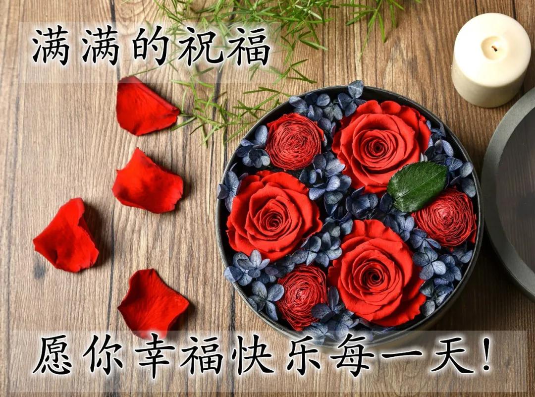 新款早安带字图片，最好看的带花早上好祝福图片图片