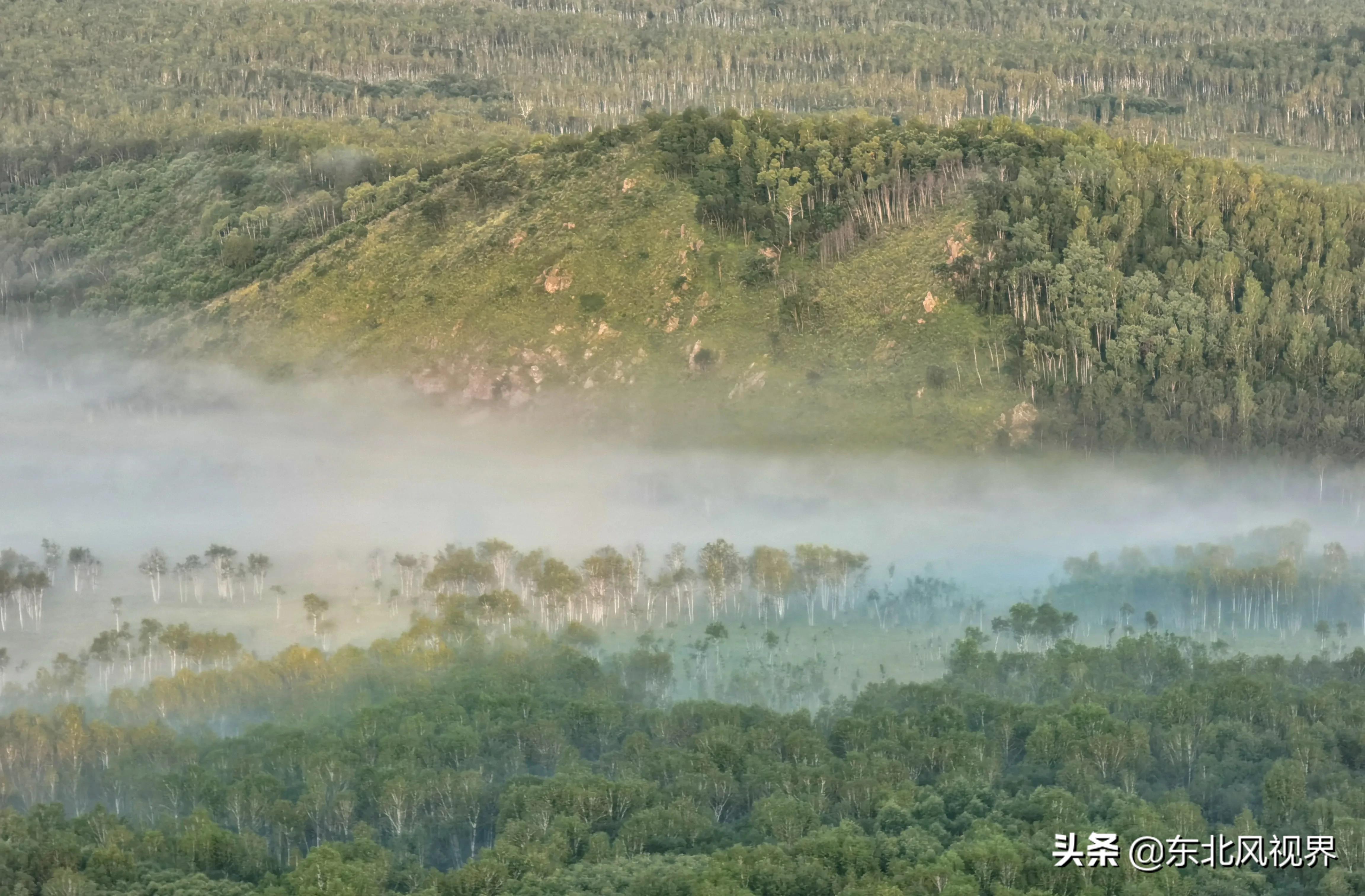 华为P50pro拍照体验 说说长焦