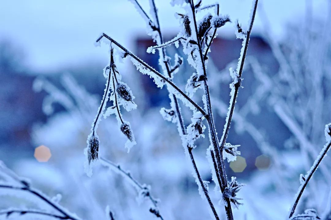 诗词里的100个冬天，那么冷，那么美-第8张图片-诗句网