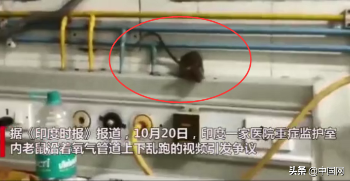 ҽԺICUһȺܣҧܣҽԱ֪ߣӦһ