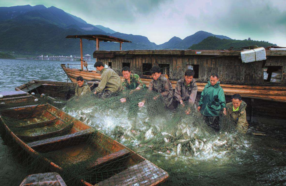 没人吃就卖给中国？日本计划请中韩网红带货，帮忙推销福岛核食品