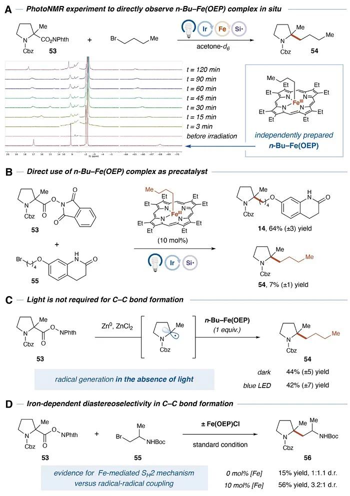 New Nobel Prize Winner Science: Biomimetic SH2 cross-coupling ...