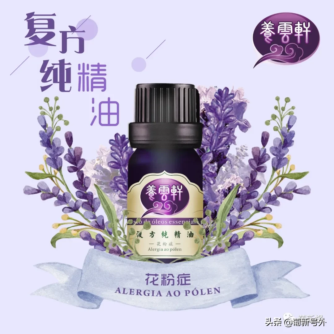 乘风破浪的好姐姐