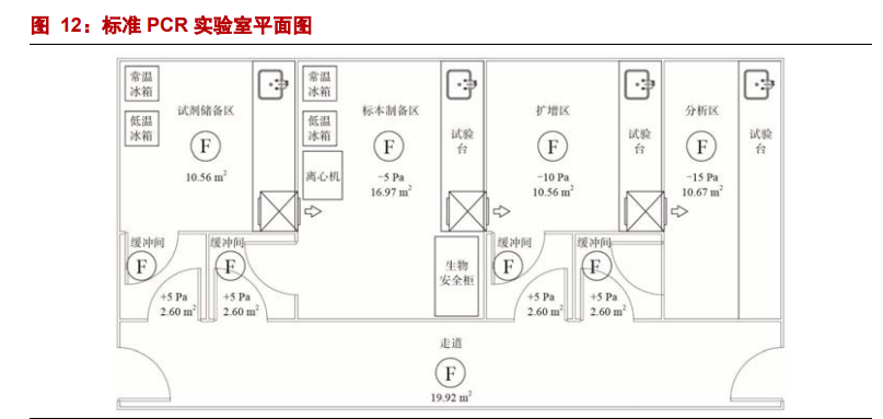 PCR行业专题报告：分子诊断黄金赛道