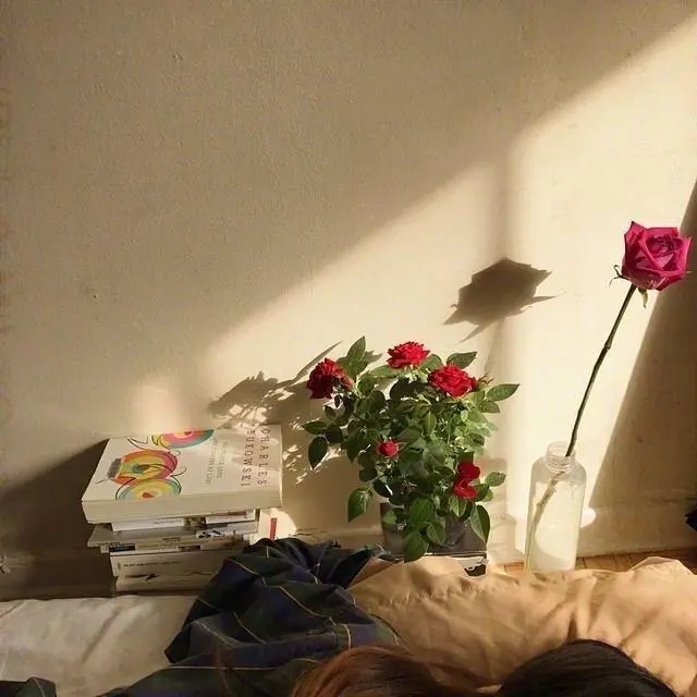 痛到窒息的心酸句子,句句虐心的痛图片