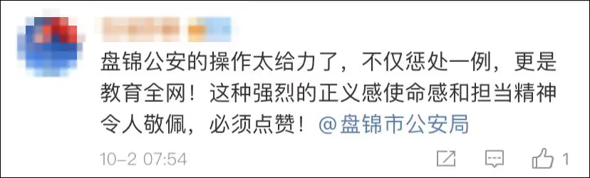 “不抓你,对不起牺牲的烈士”,轿车用辱华贴纸男子的处理结果