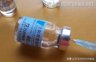 青霉素的作用，主治哪些病？在鸡病上的应用