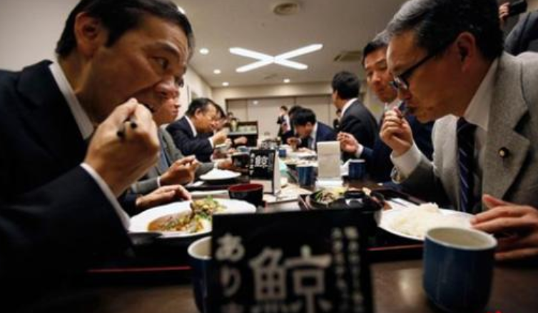 日本“执意”捕杀鲸鱼，并非为了吃肉，真实“