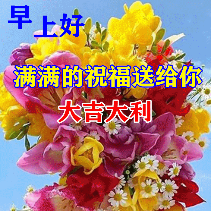 最新周三早上好表情图片  周三早上好问候语图片图片