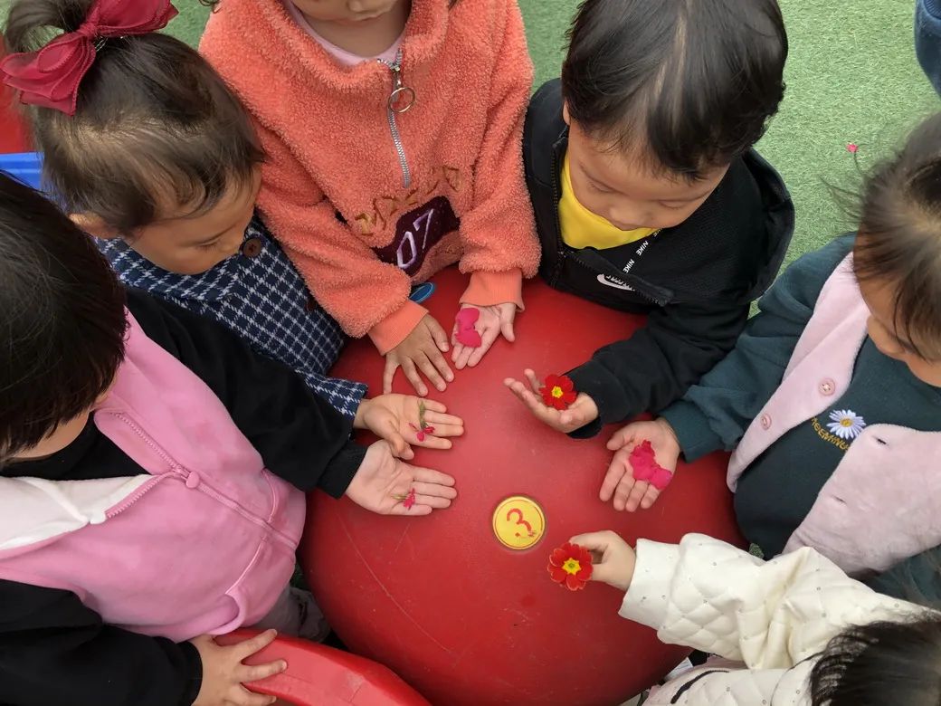 “小游戏”和“大课程”丨天府新区华阳幼儿园户外课程研究组活动