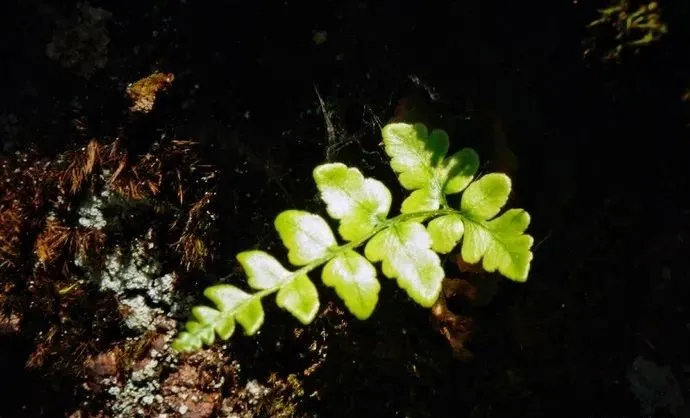 浙西的秘境山水打包送给你,这条自驾路线夏天去正好