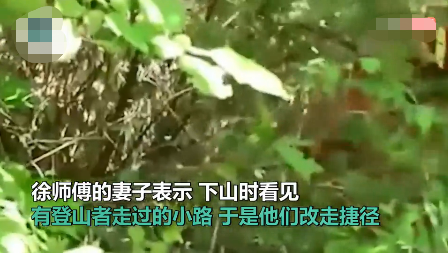 作文|带孩子进山找作文灵感被困一夜 被救时三人只能靠草取暖