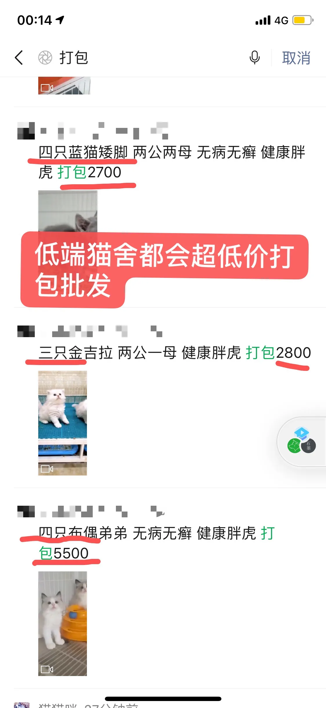 養貓2年賺35萬，這個副業投入少收益大