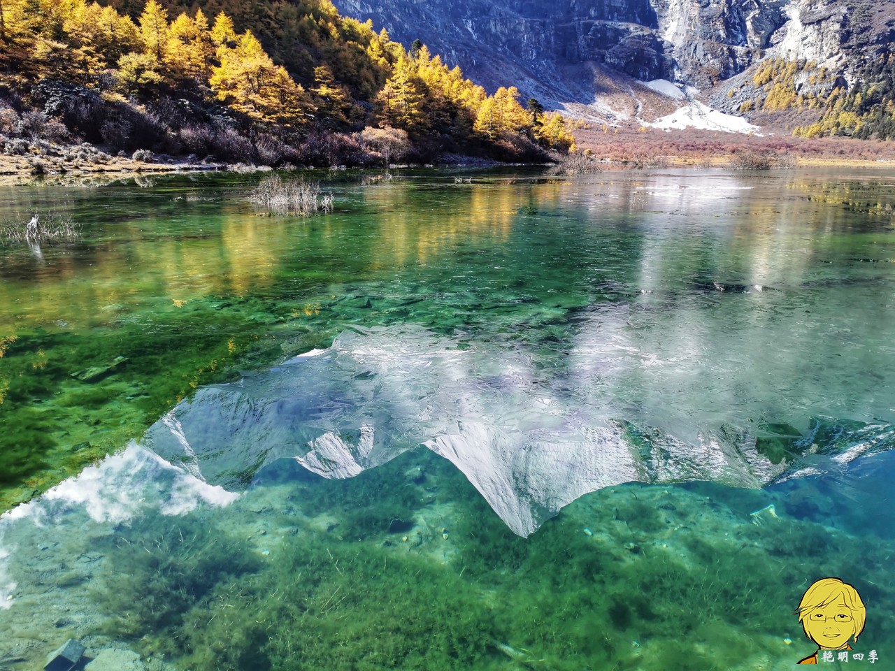 The golden autumn is here again, if you want to go to Aden, Daocheng, you should set off