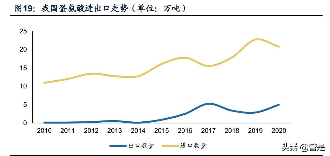 新和成专题报告：多平台、新项目，助力公司发展再上台阶