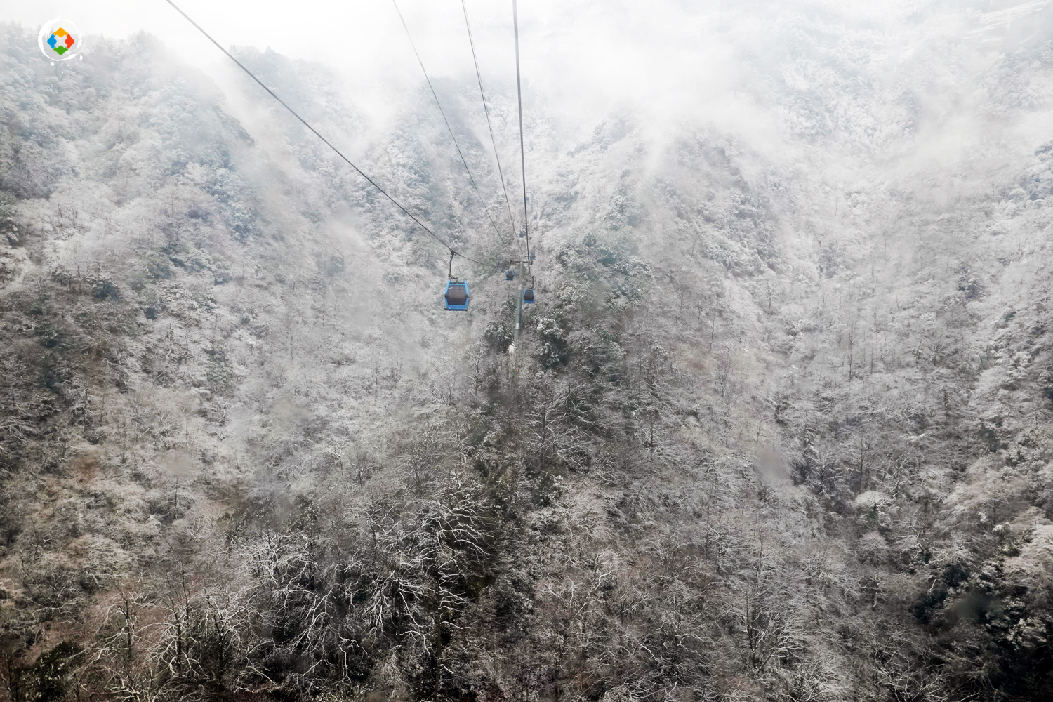 重庆金佛山冬日游：这个国家级5A景区，是不是真的徒有虚名？