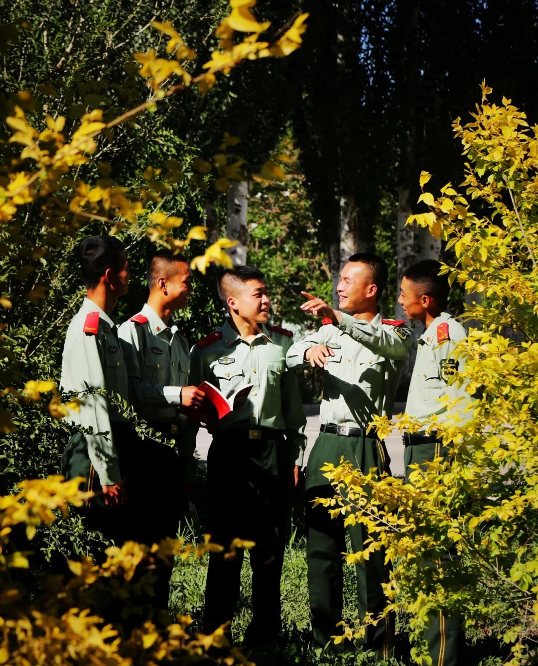 侯Ҵ֧ӣ조ӪƵʷѧϰʵ