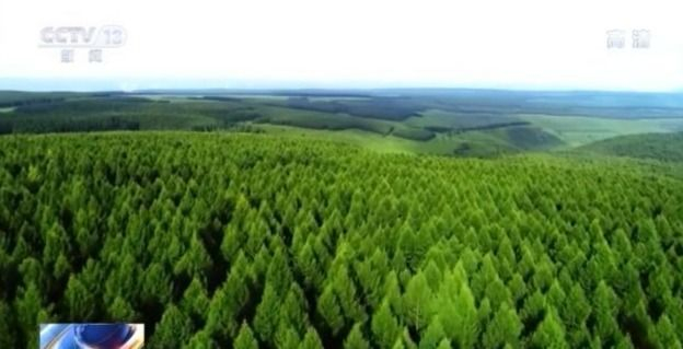 新征程开局“十四五”推动绿色发展 促进人与自然和谐共生