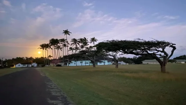 美媒：新冠疫情已在2020年蔓延至美國所有縣