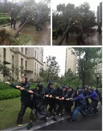 物业到底是干什么的！终于说明白了！