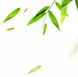 问候你，祖国/杨敏-第4张图片-非凡网